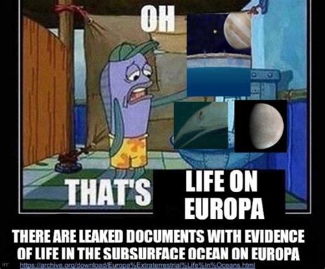 europan hookmouth|Were NASA Documents Leaked About Life On Europa And。